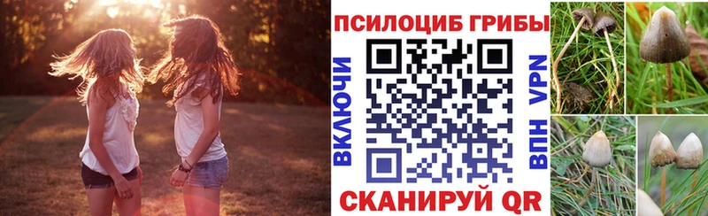Галлюциногенные грибы Psilocybine cubensis  Купить  Шуя 
